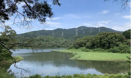 天竺山森林公园旅游攻略_天竺山森林公园旅游攻略图