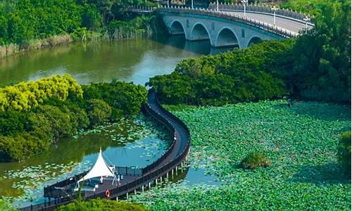 南沙湿地公园自驾游_南沙湿地公园自驾游路线