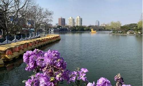 上海长风公园门票多少钱一张_长风公园免费开放吗